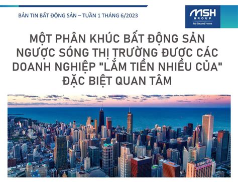  Bánh Bao Mì Hanzhong: Sự Kết Hợp Tuyệt Vời Của Bột Mềm Như Lụa Và Thịt Bò Xào Chua Ngọt!